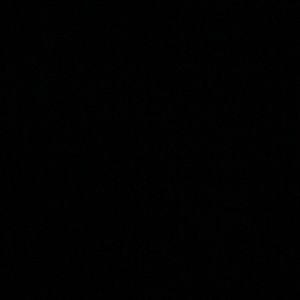 Meet your Posher, Jaylin